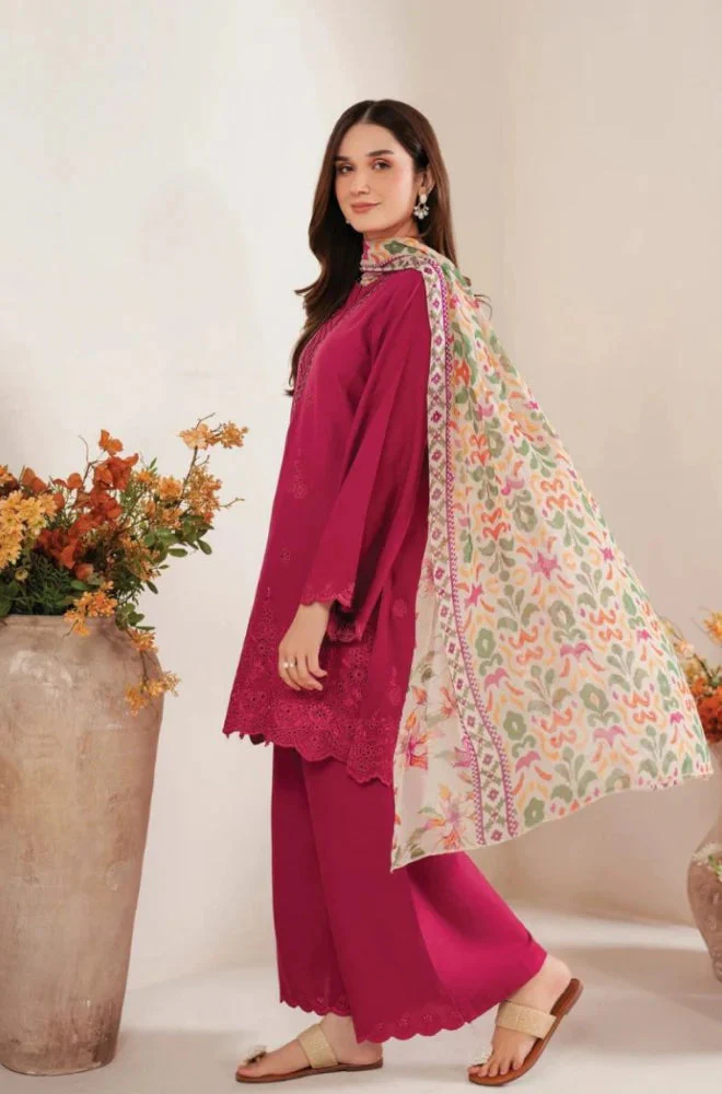HC-728 Garnet Chickenkari Special Danak - 3PC