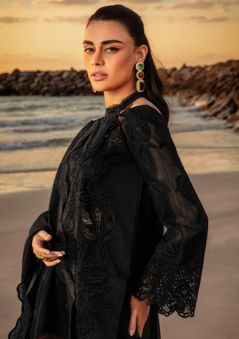 HC-349 RangRasiya Luxury Eid Special Ready to Wear Dubata Lawn 3PC
