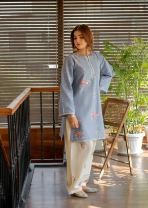 HC-11 URGE luxury 2 piece suit for women elegant embroidered designer casual wear outfit